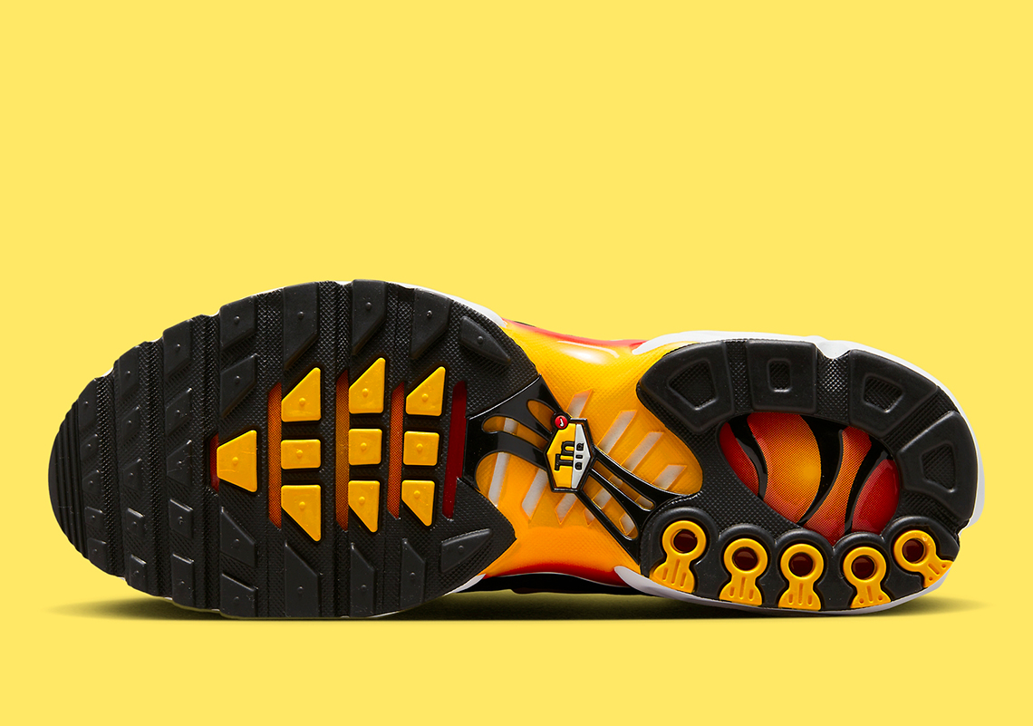 Nike Air Max Plus Dx0755 600 2