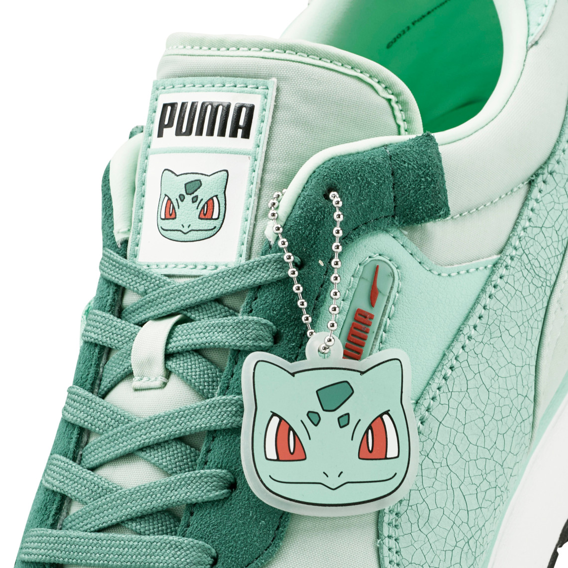 Pokemon Puma Rider Fv 387324 01 2