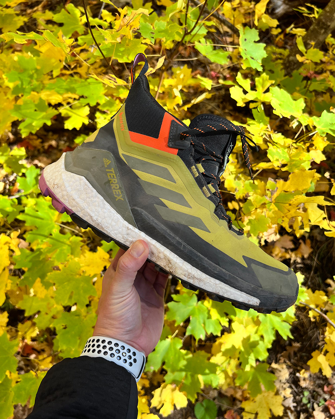 Adidas Terrex Editorial Free Hiker 2 Gallery 3