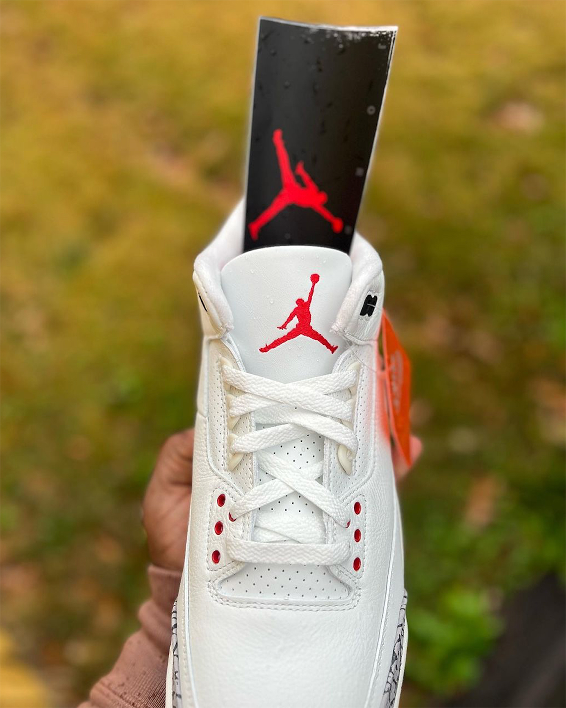 Reimagined Air Jordan 3 Dn3707 100 2