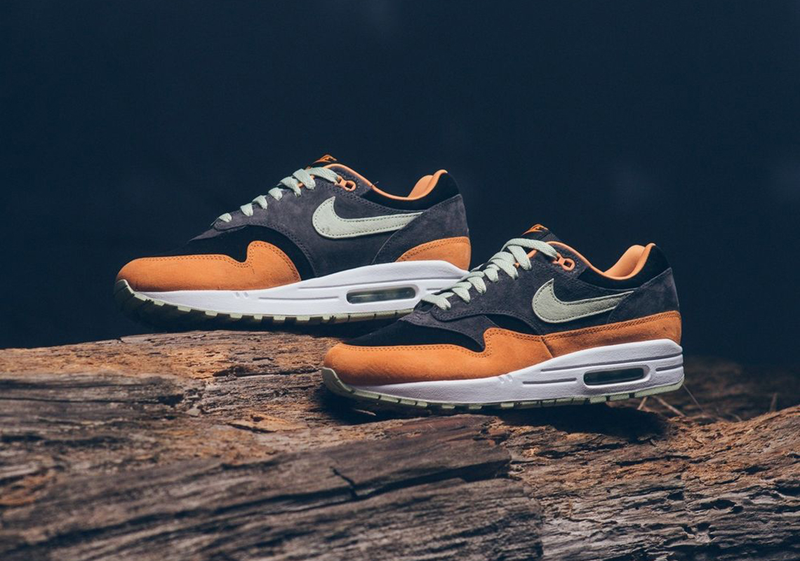 Nike Air Max 1 Ugly Duckling Ceramic Dz0482 001 6