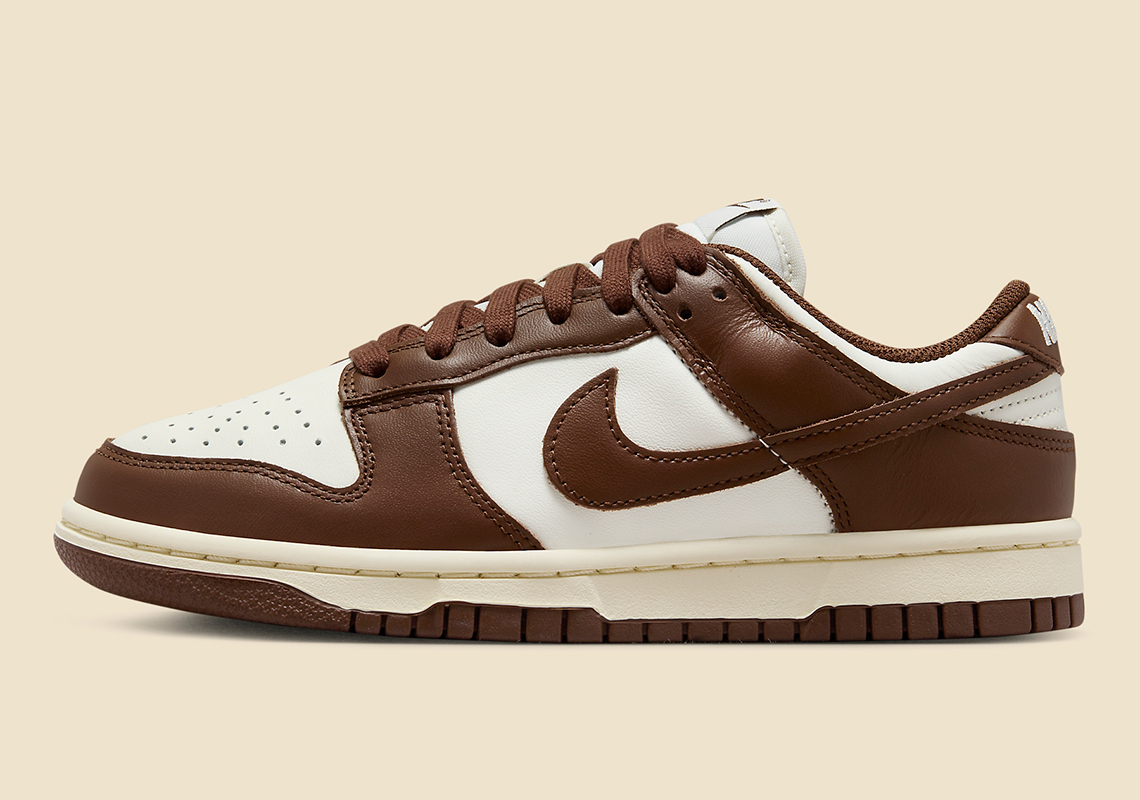 Nike Dunk Low Brown Sail Dd1503 124 5