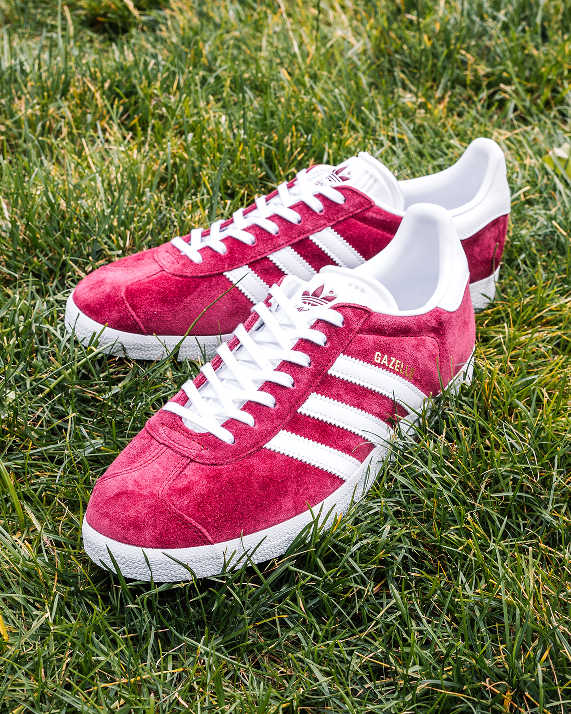 Adidas May 2023 Gazelle Gallery 2