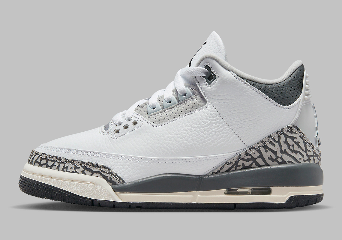 Air Jordan 3 Hide N Sneak Elephant Dx6665 100 9