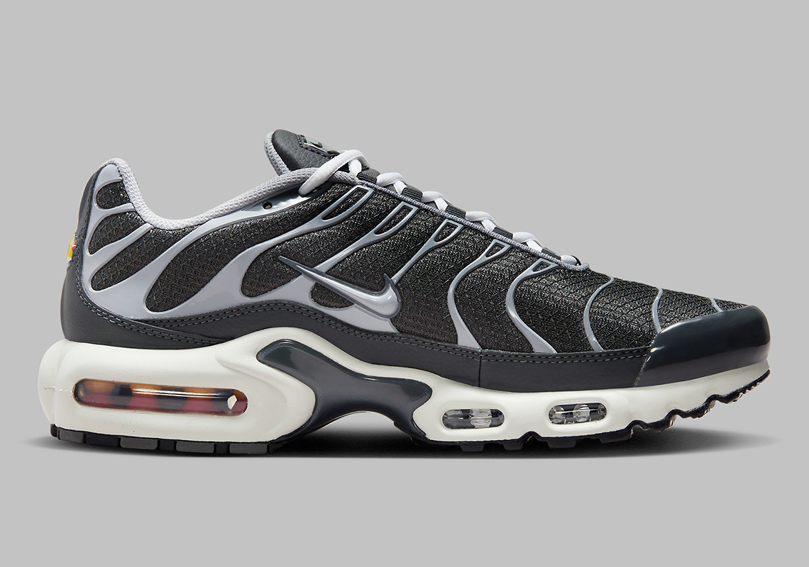 Nike Air Max Plus Cool Grey Dz2655 001 6