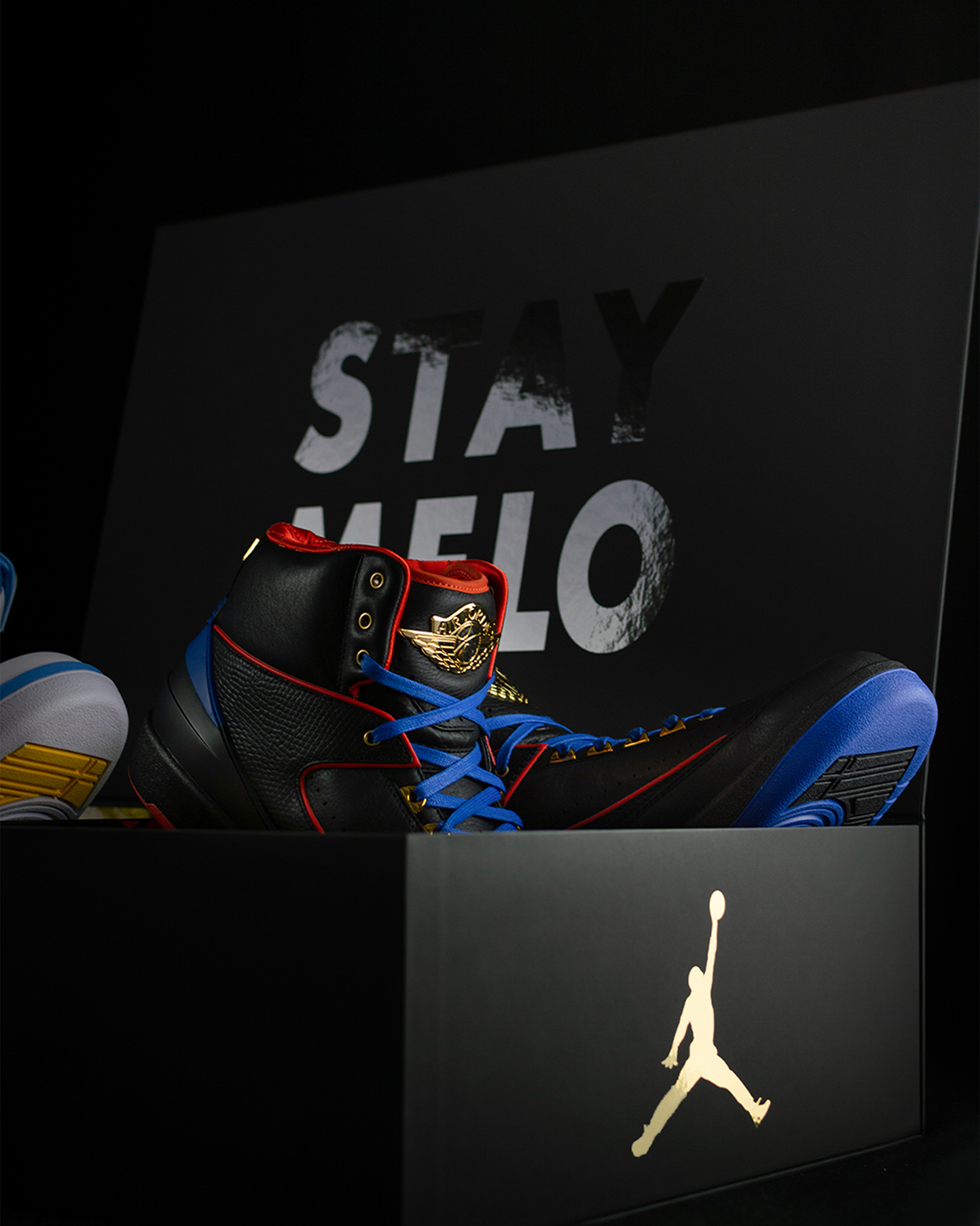 Air Jordan 2 Carmelo Anthony Pack Retirement 18