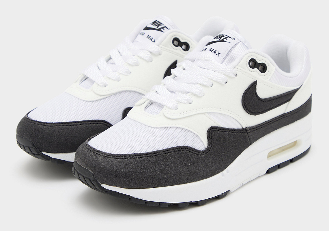 Air Max 1 Panda Dz2628 102 4