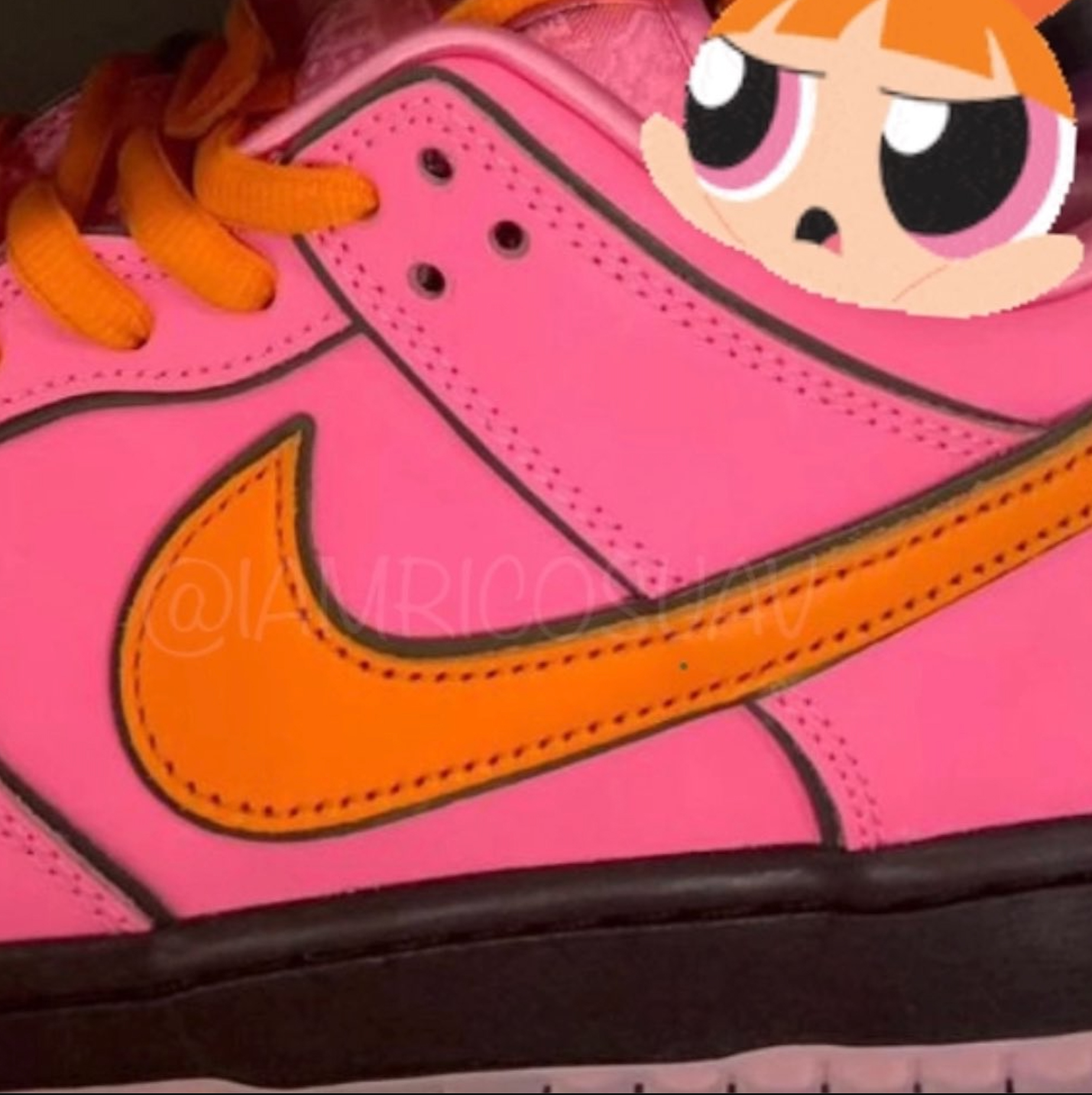 Powerpuff Girls Nike Sb Dunk Blossom