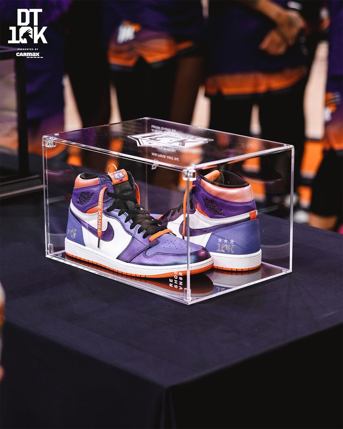 Diana Taurasi Air Jordan 1 10000 Points 3