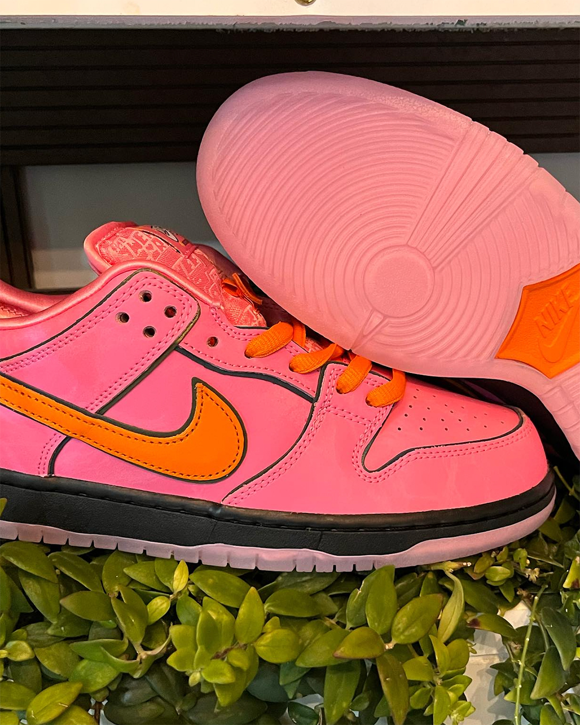 Powerpuff Girls Blossom Nike Sb Dunk Low Fd2631 600 2