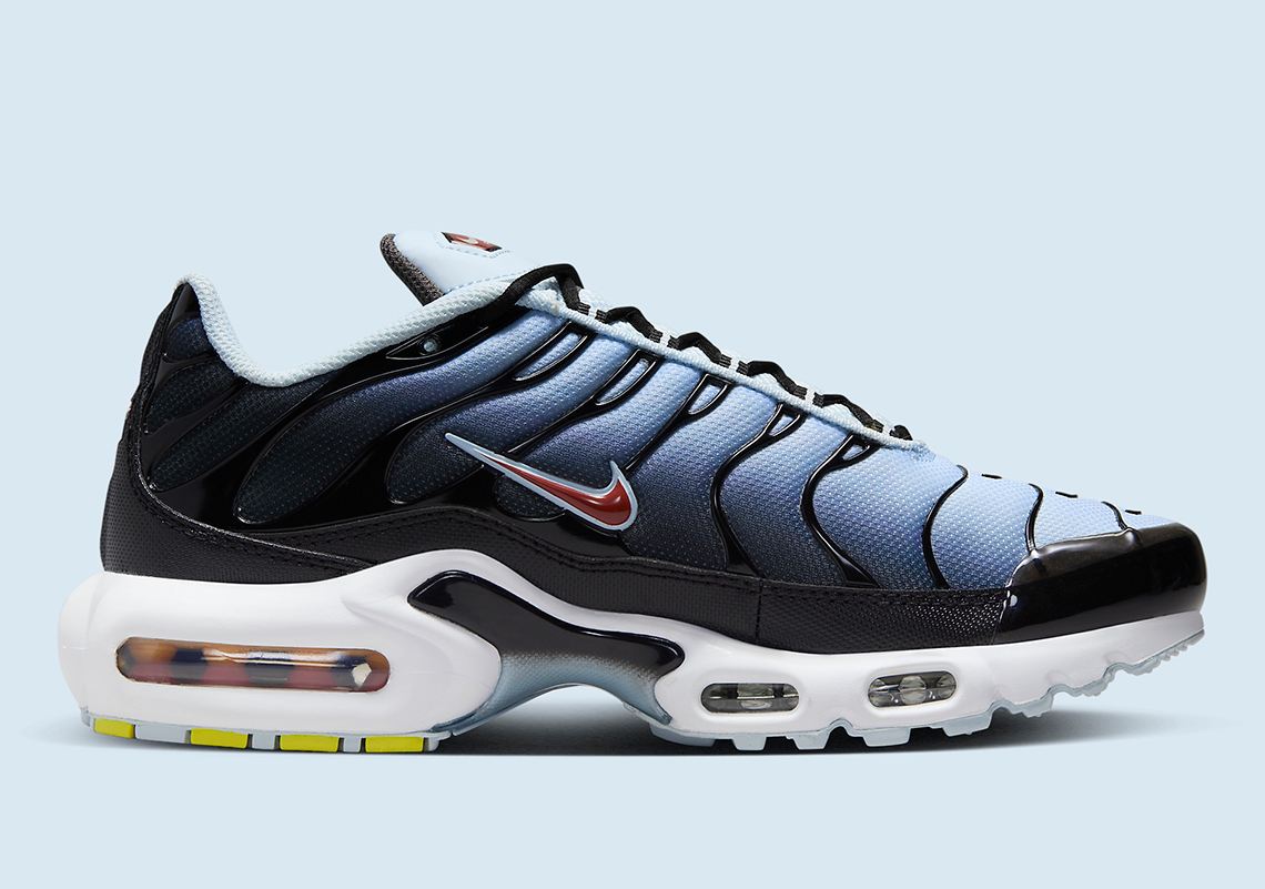 Nike Air Max Plus Swoosh Pack Dm0032 008 2