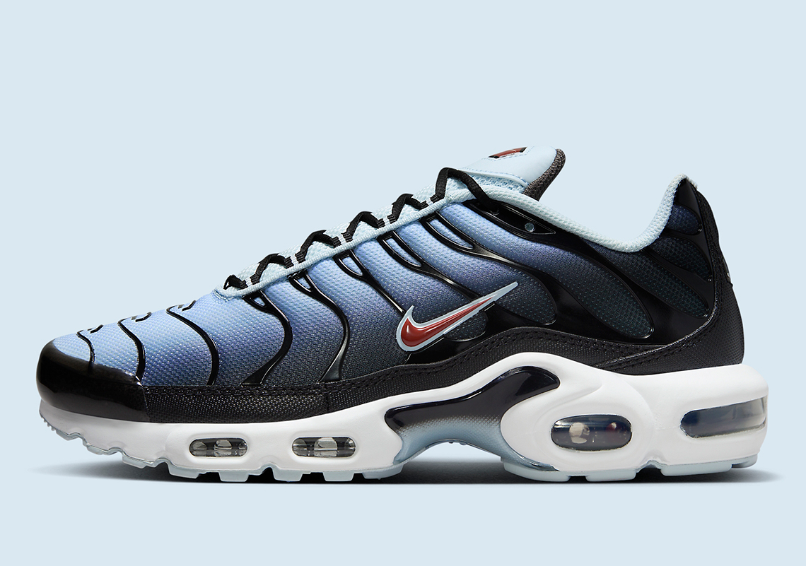 Nike Air Max Plus Swoosh Pack Dm0032 008 9