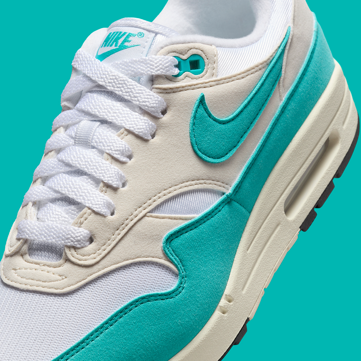 Nike Air Max 1 W Dusty Cactus Dz2628 107 5