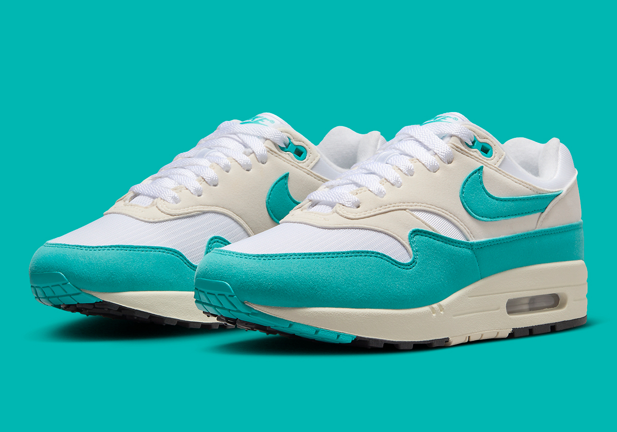 Nike Air Max 1 W Dusty Cactus Dz2628 107 8