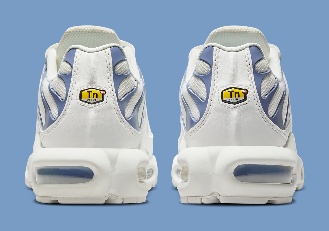 Nike Air Max Plus Summit White Ashen Slate Dz3671 104 9