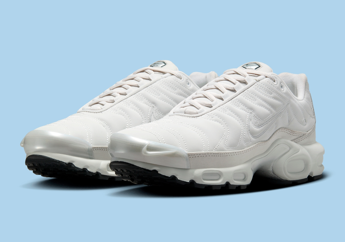 Nike Air Max Plus Reflective Fz4342 001 1