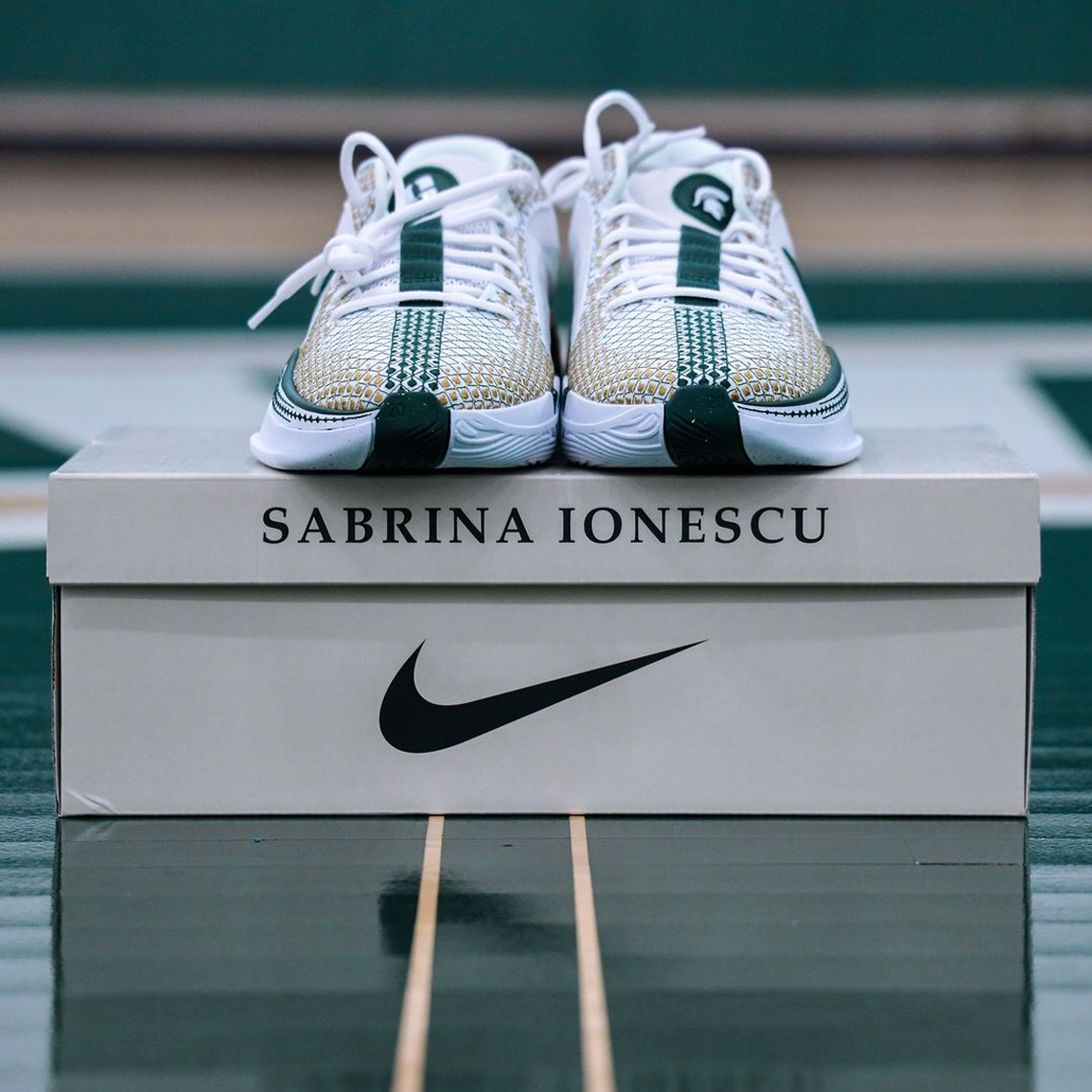 Nike Sabrina 1 Michigan State Pe 2