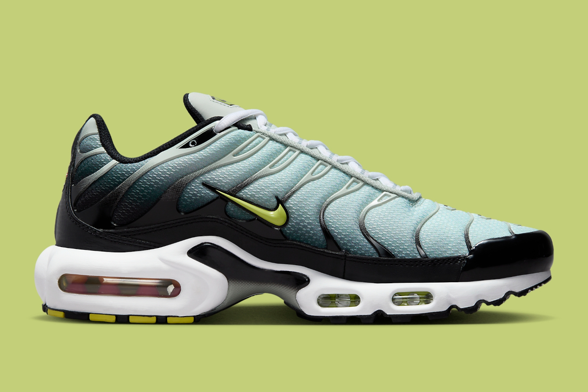 Nike Air Max Plus Dusty Cactus Dm0032 006 2