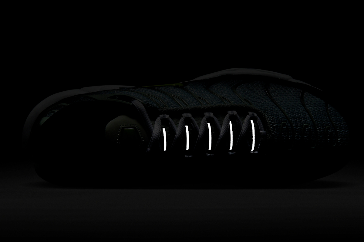 Nike Air Max Plus Dusty Cactus Dm0032 006 4