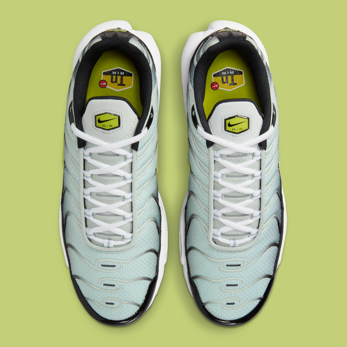 Nike Air Max Plus Dusty Cactus Dm0032 006 5