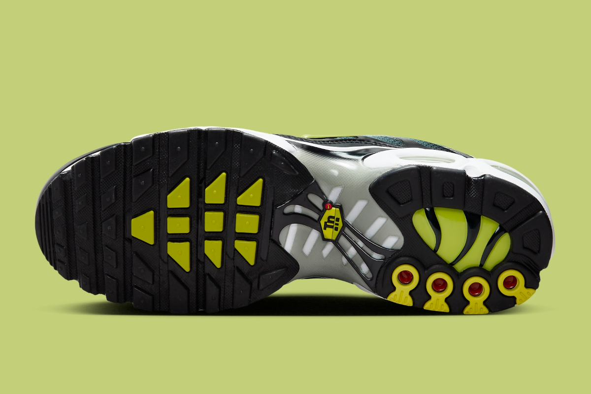 Nike Air Max Plus Dusty Cactus Dm0032 006 6