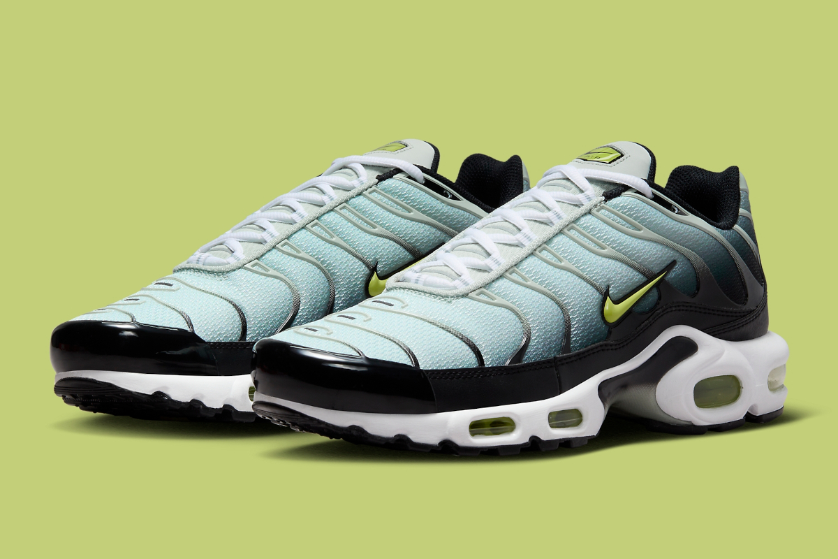 Nike Air Max Plus Dusty Cactus Dm0032 006 8