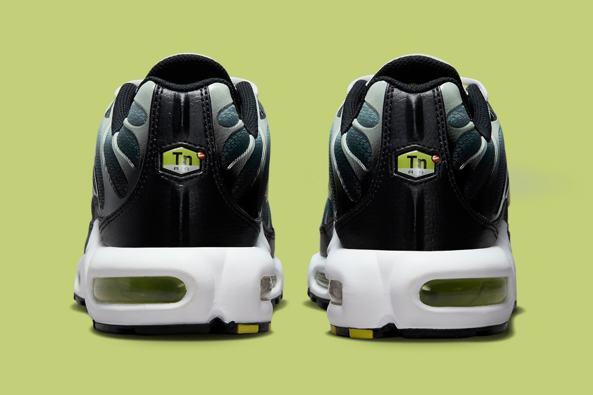 Nike Air Max Plus Dusty Cactus Dm0032 006 9