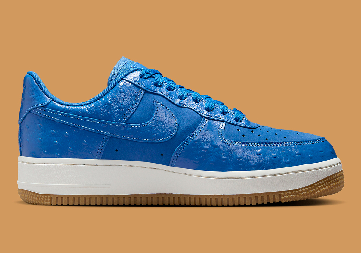 Nike Air Force 1 Low Blue Ostrich Dz2708 400 9