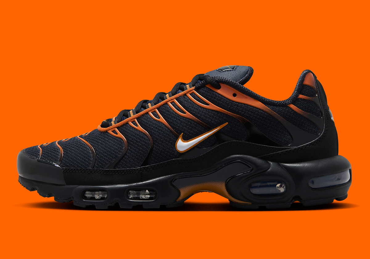 Nike Air Max Plus Dark Obsidian Orange Fn6949 400 8 9d01ad