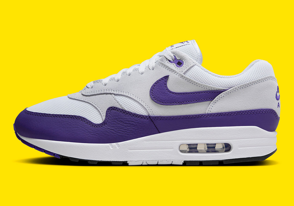 Nike Air Max 1 Field Purple Dz4549 101 7