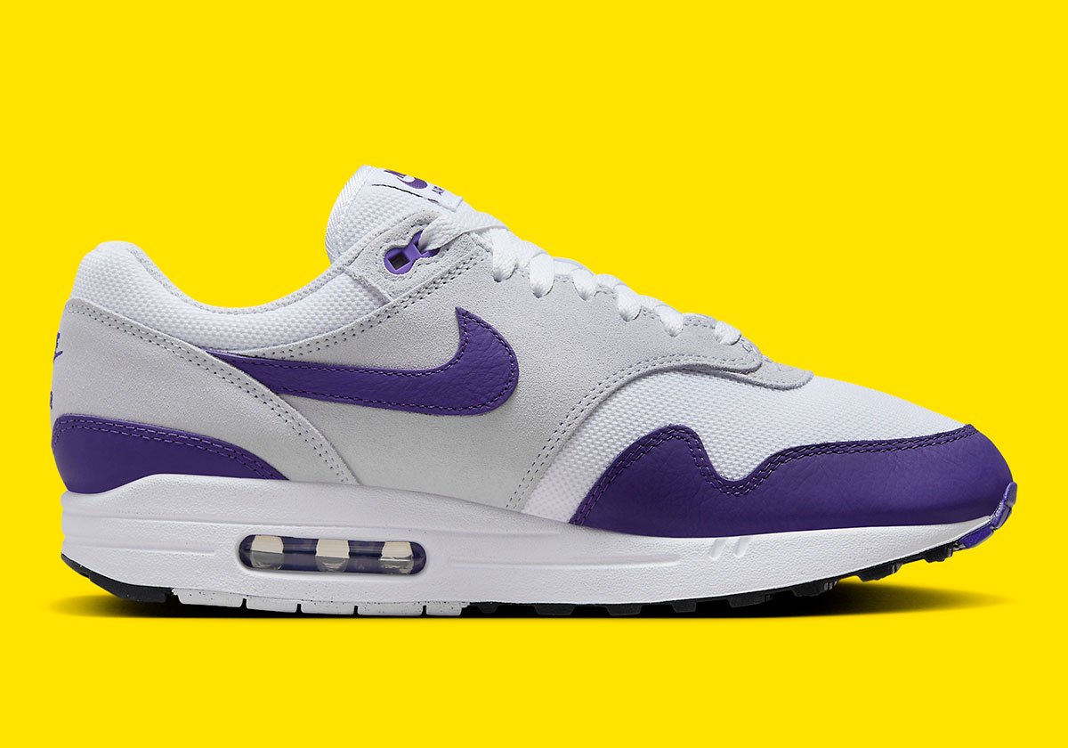 Nike Air Max 1 Field Purple Dz4549 101 8