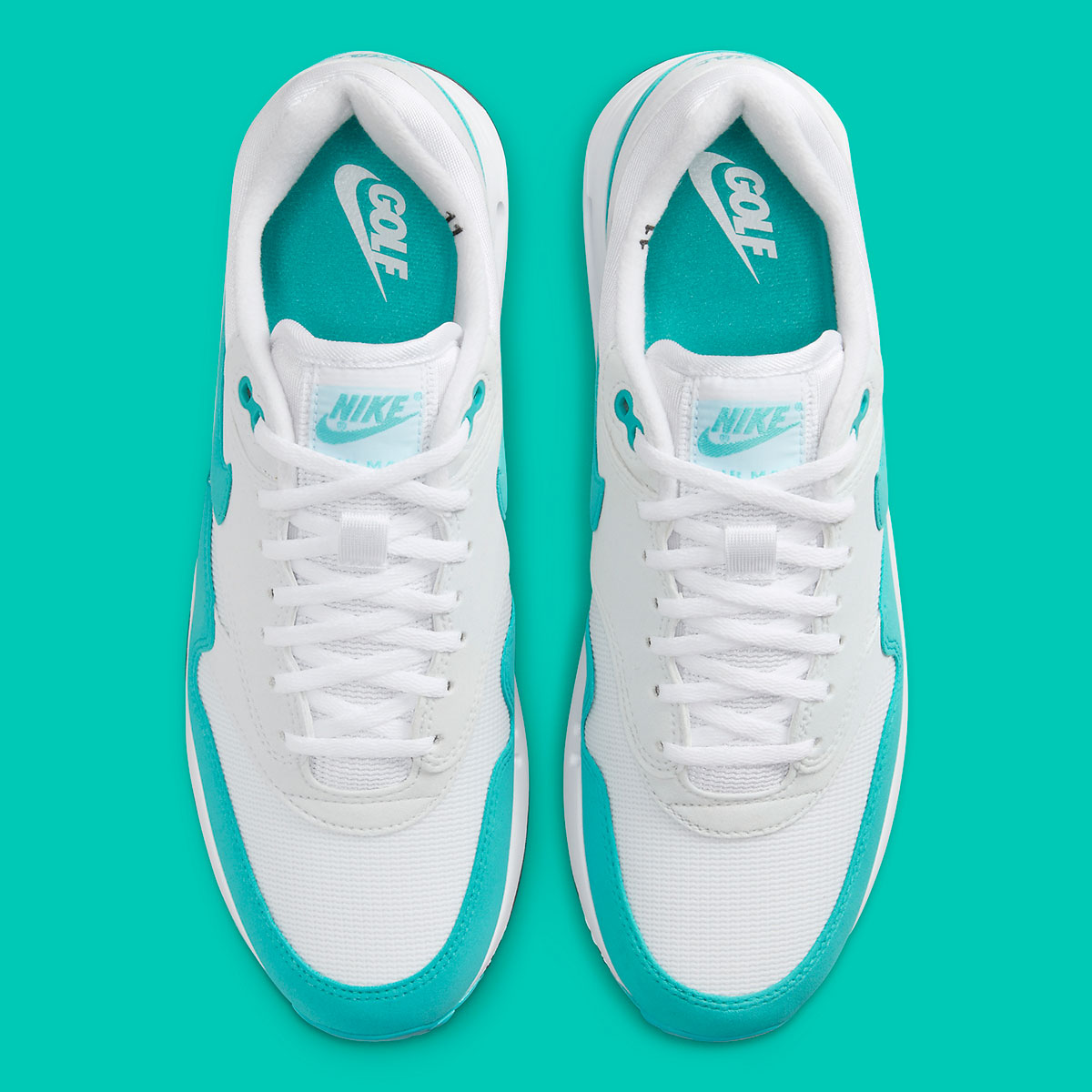 Nike Air Max 1 Golf Dusty Cactus Dv1403 117 2