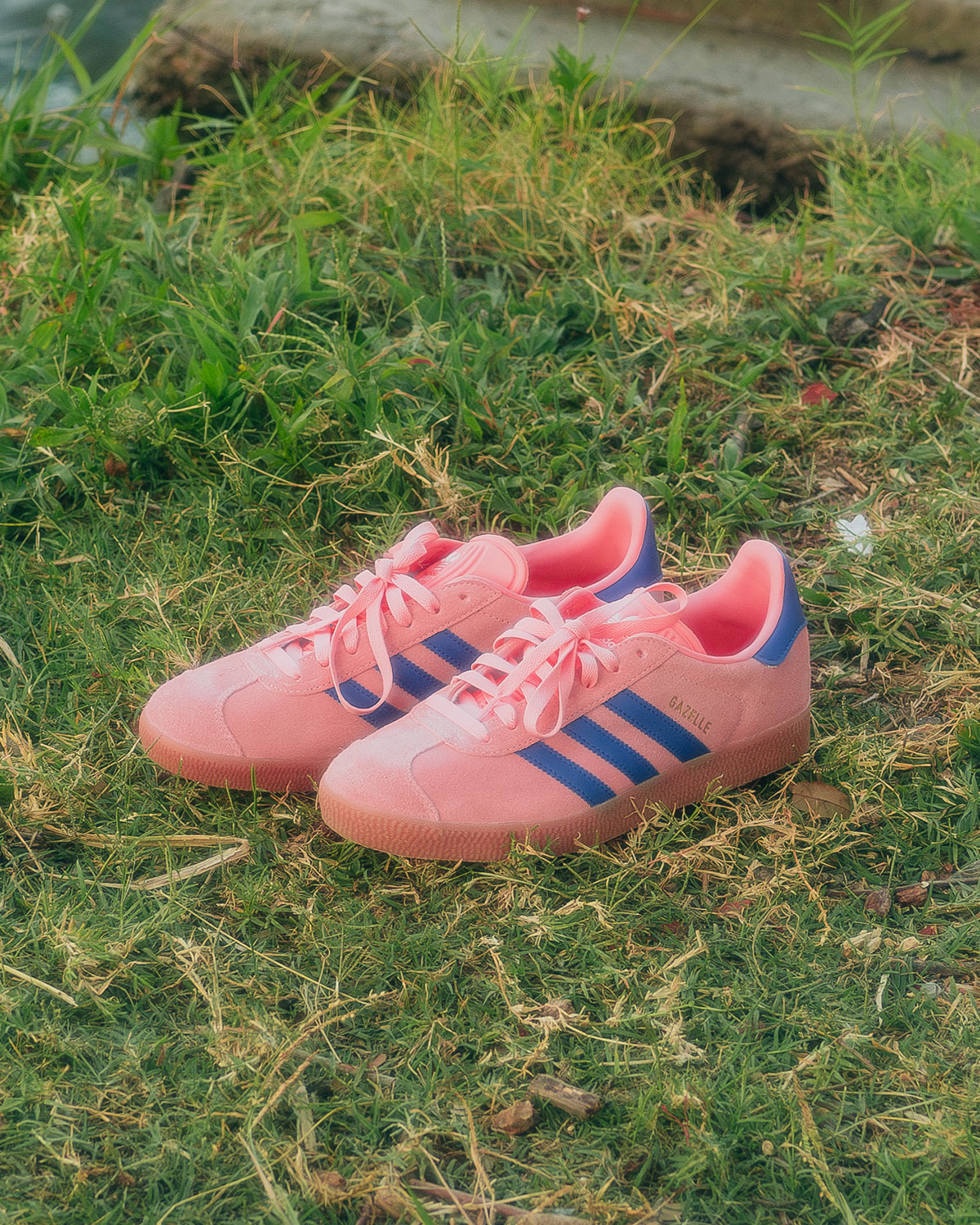 Adidas July 2024 Gazelle Gallery 1