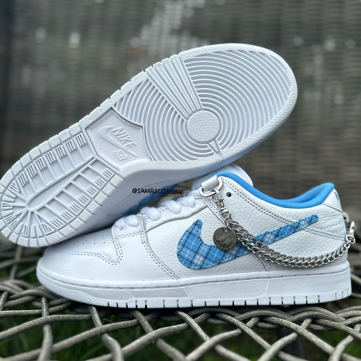 Nicole Hause Nike Sb Dunk Low Fz8802 100 4