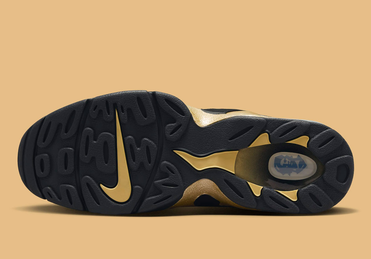 Nike Dt Max 96 Colorado Home Hm9236 001 1