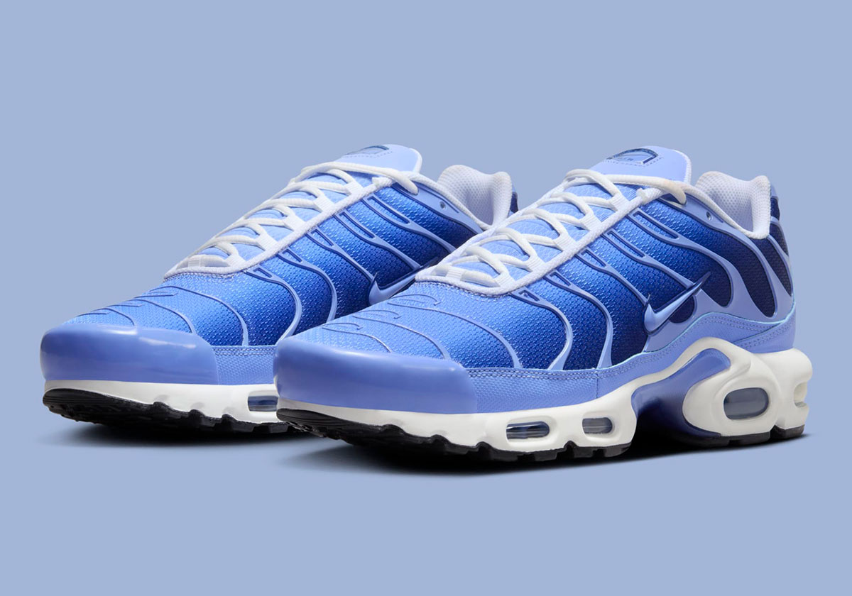 Nike Air Max Plus Royal Pulse Deep Royal Blue Dm0032 403 1