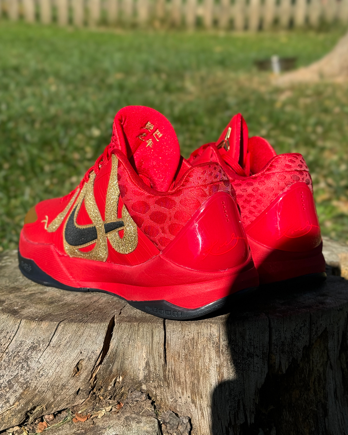 Nike Kobe 5 Protro Year Of The Mamba University Red Black Metallic Gold Hf5182 600 5