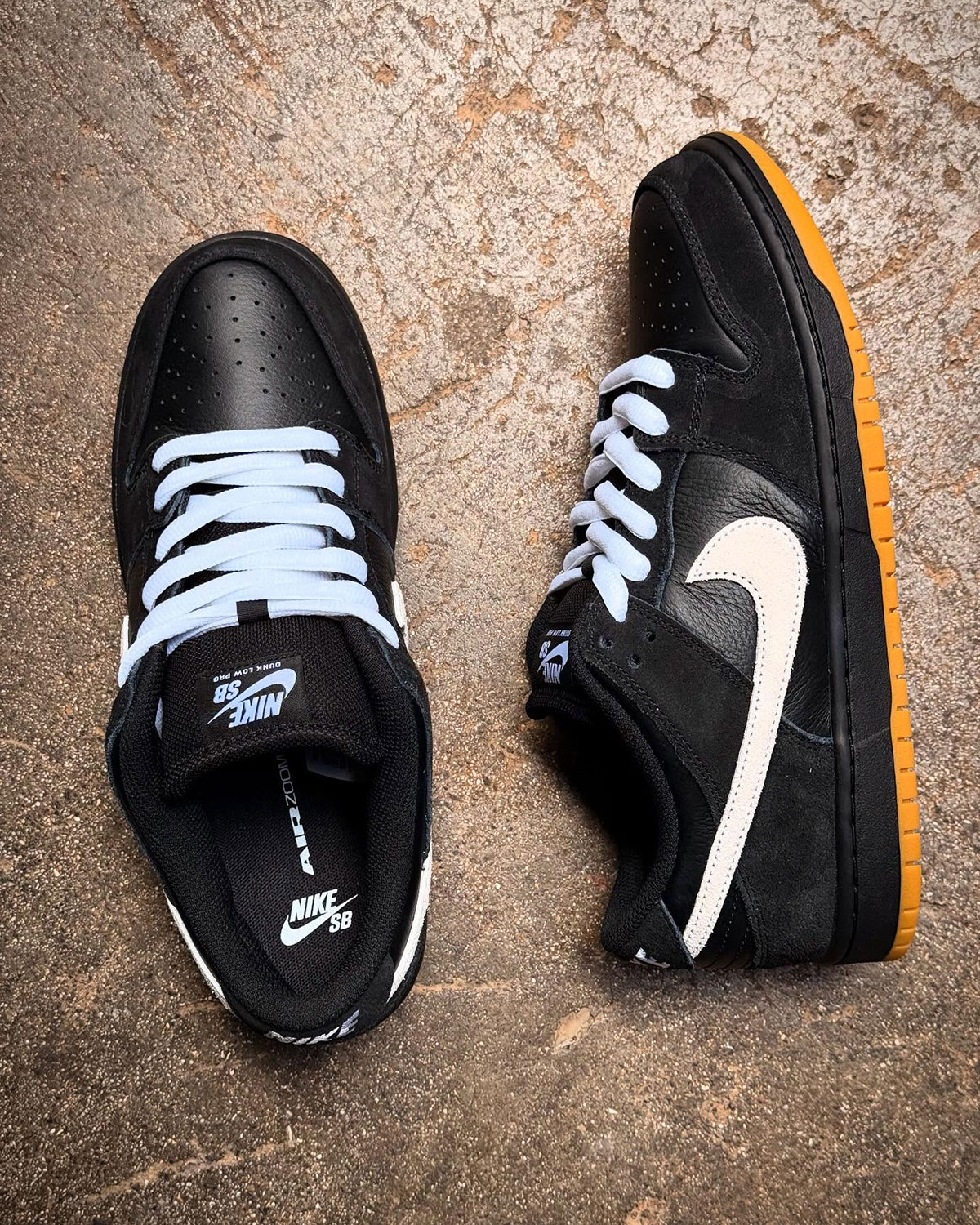 Sb Dunk Black Gum 2025 5
