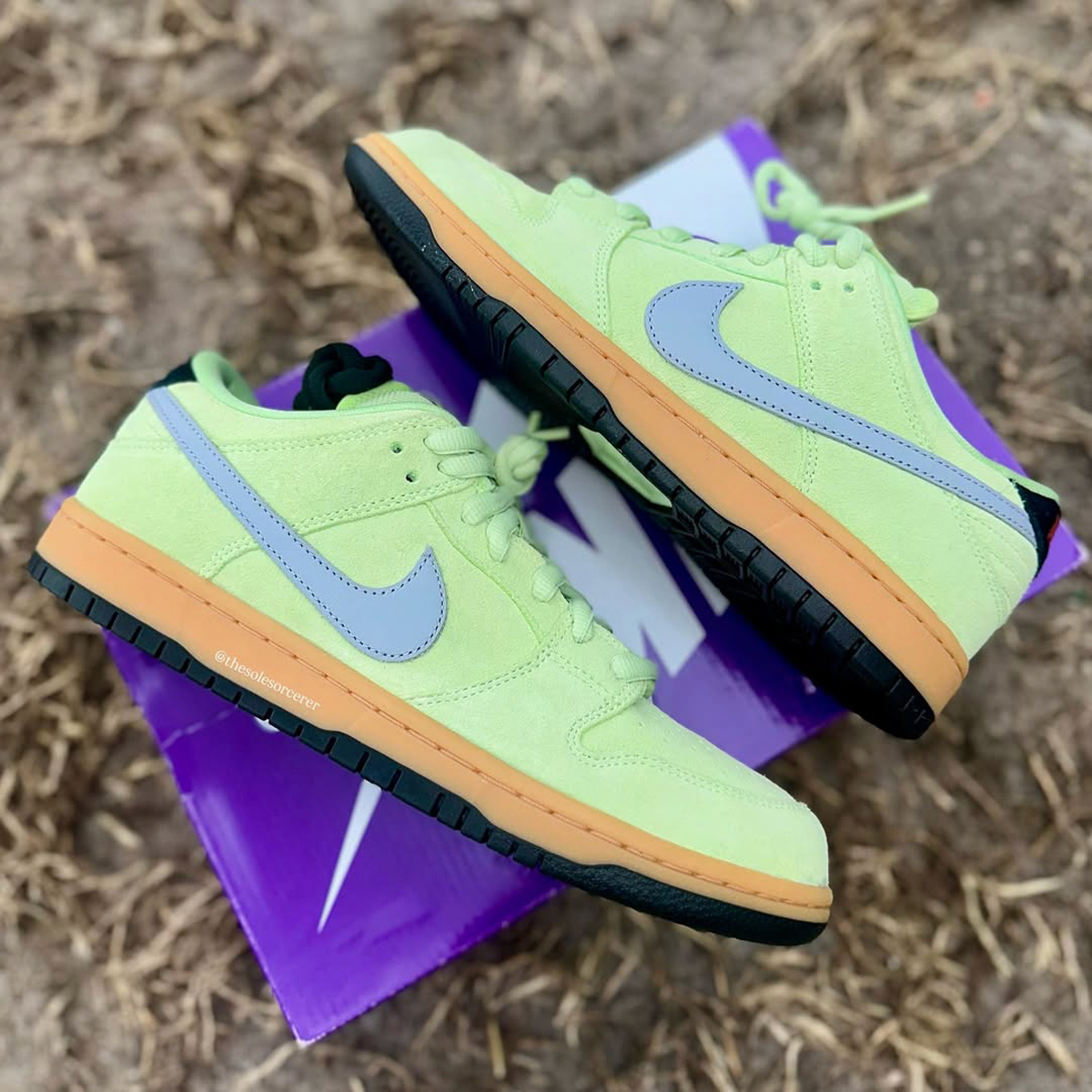 Nike Sb Dunk Low Verdugo Mountain Hq1626 300 Release Date 1