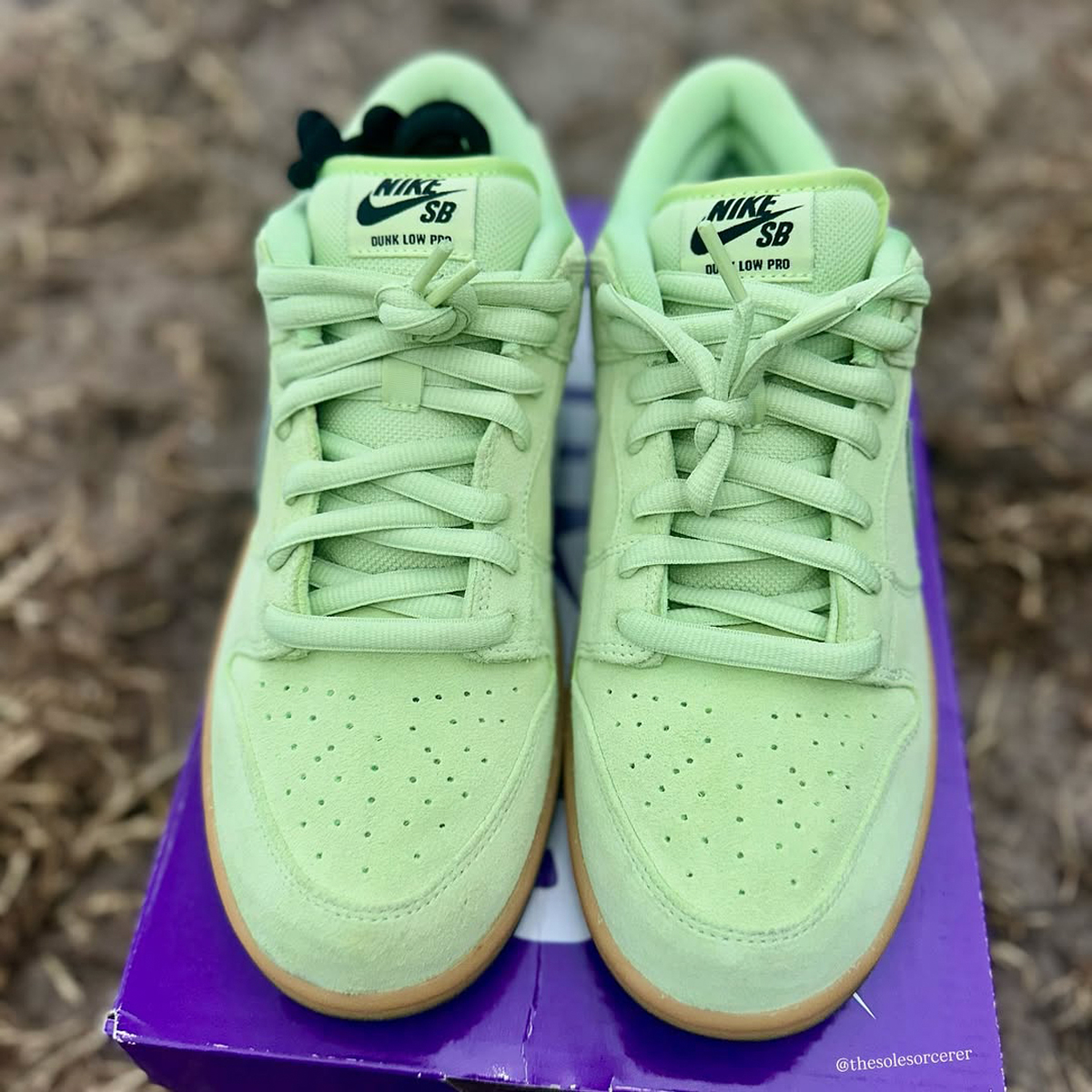 Nike Sb Dunk Low Verdugo Mountain Hq1626 300 Release Date 4