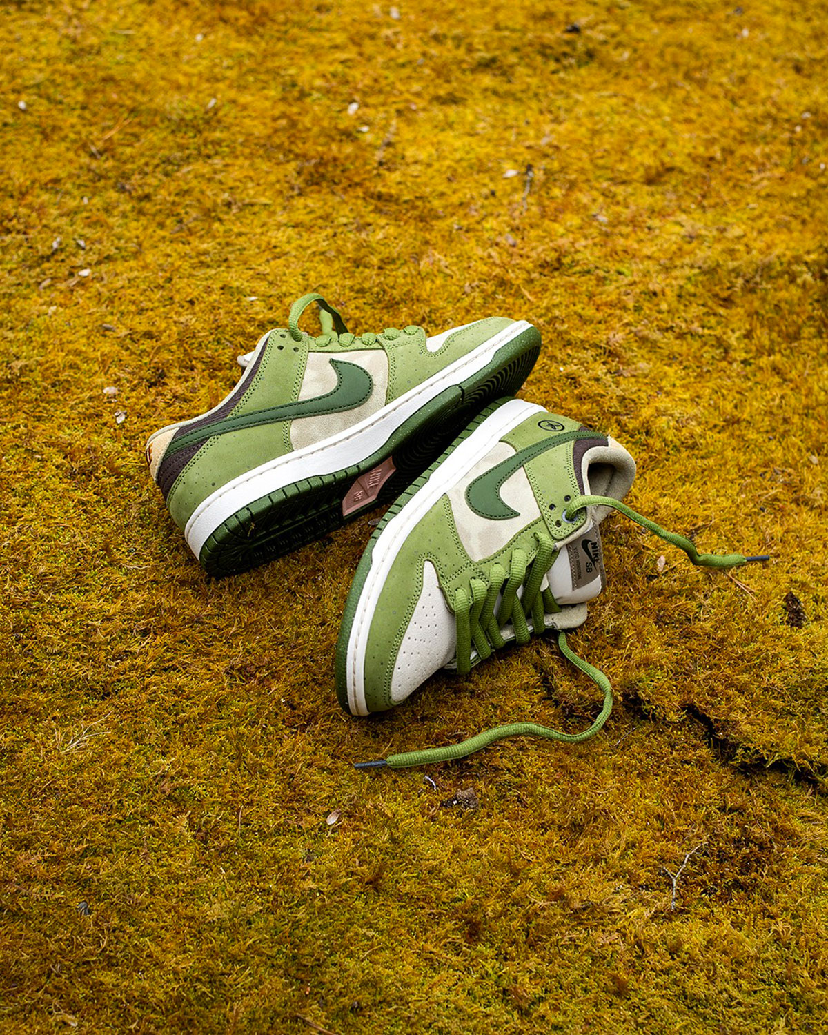 Yuto Nike Sb Dunk Matcha 4