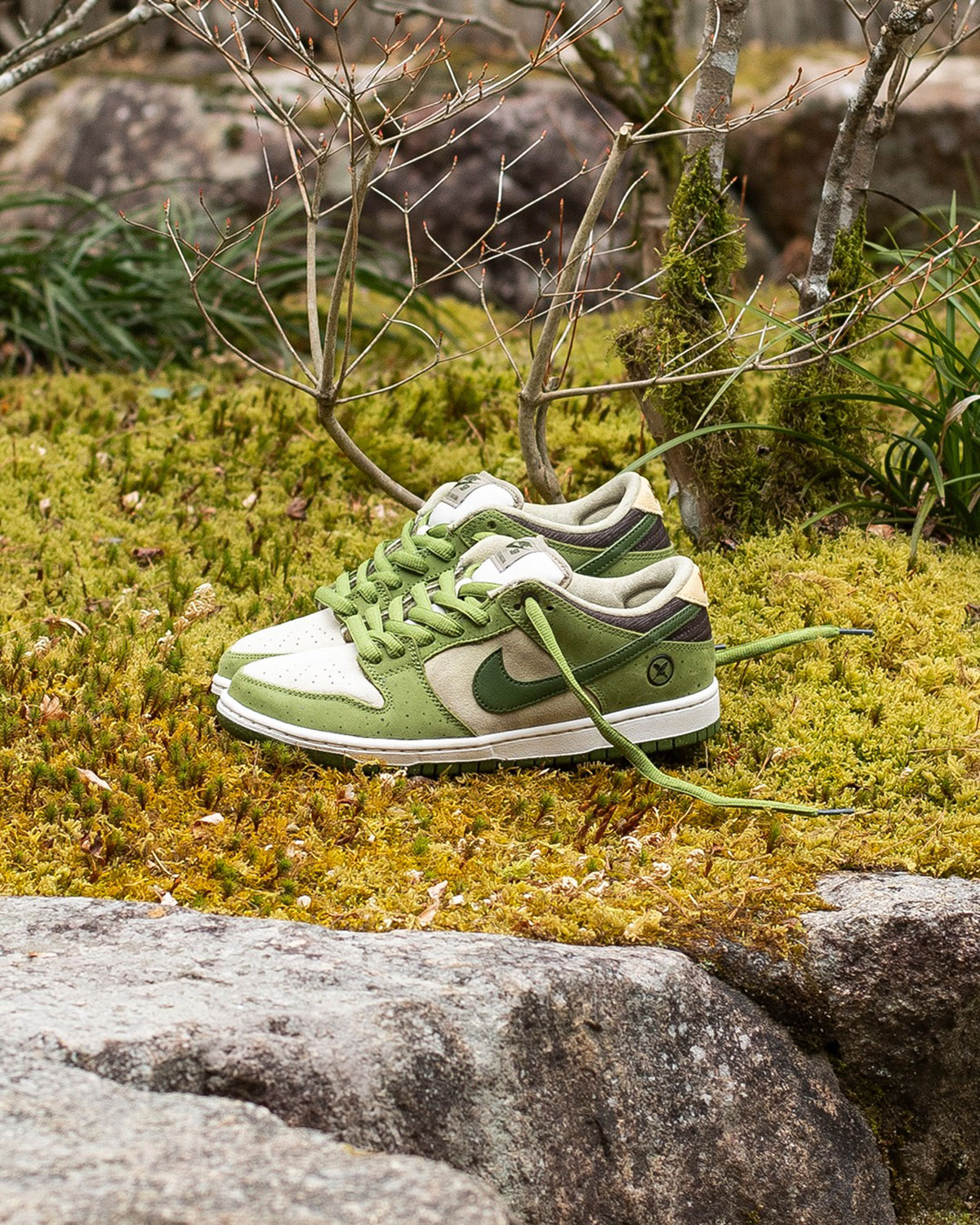 Yuto Nike Sb Dunk Matcha 5