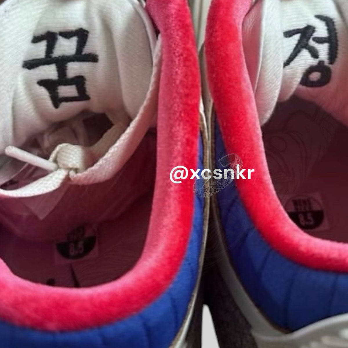 Seoul Jordan 3s 1