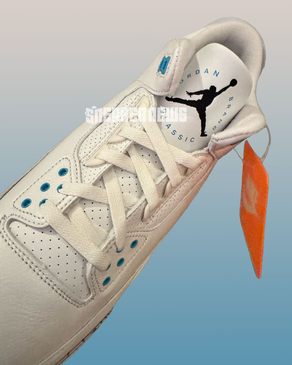 Air Jordan 3 Jordan Brand Classic 2025 3