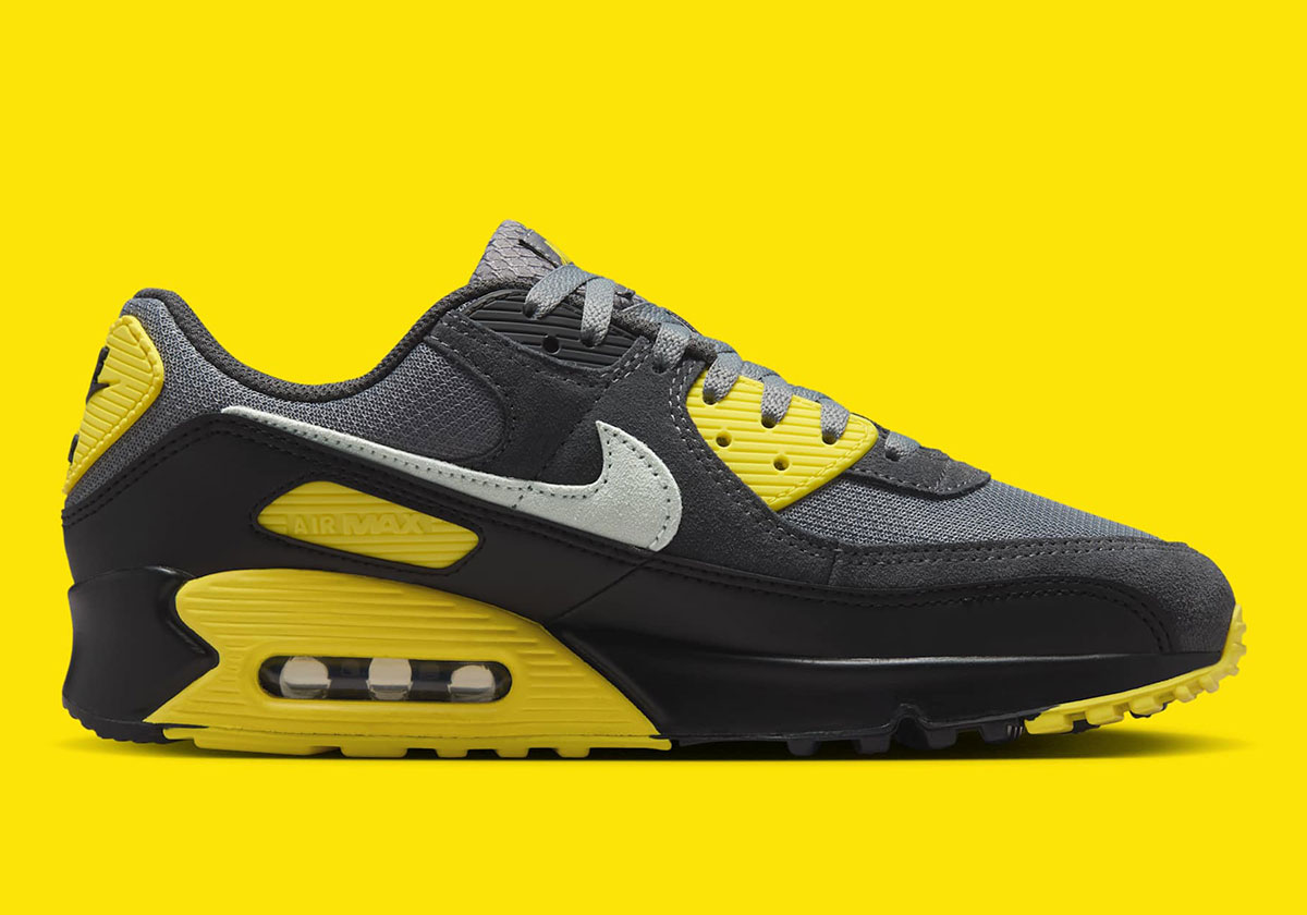 Nike Air Max 90 Smoke Grey Light Silver Lightening Anthracite Black Dm0029 016 6