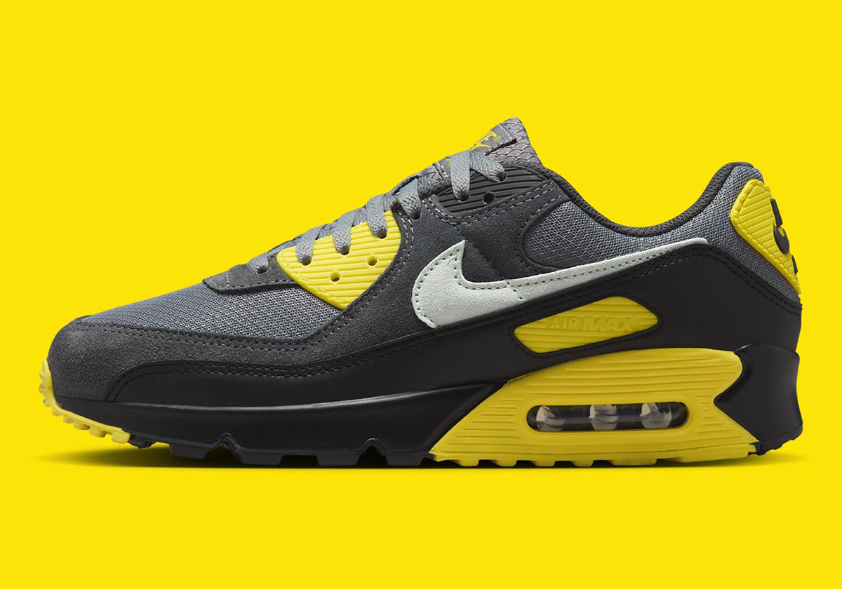 Nike Air Max 90 Smoke Grey Light Silver Lightening Anthracite Black Dm0029 016 8