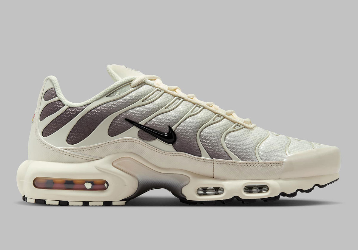 Nike Air Max Plus Light Orewood Brown Black Soft Pearl Cave Stone Dm0032 106 6