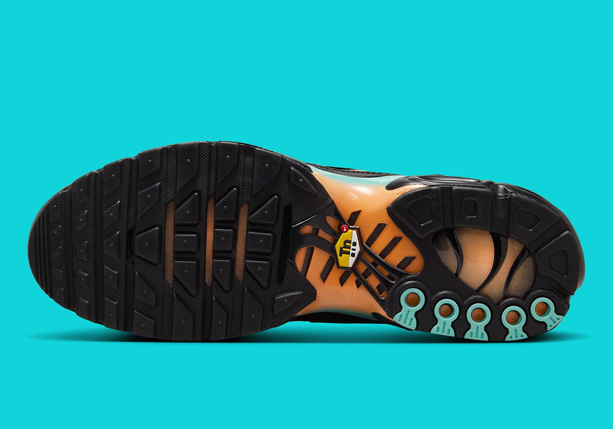 Nike Air Max Plus South Beach Dm0032 022 4