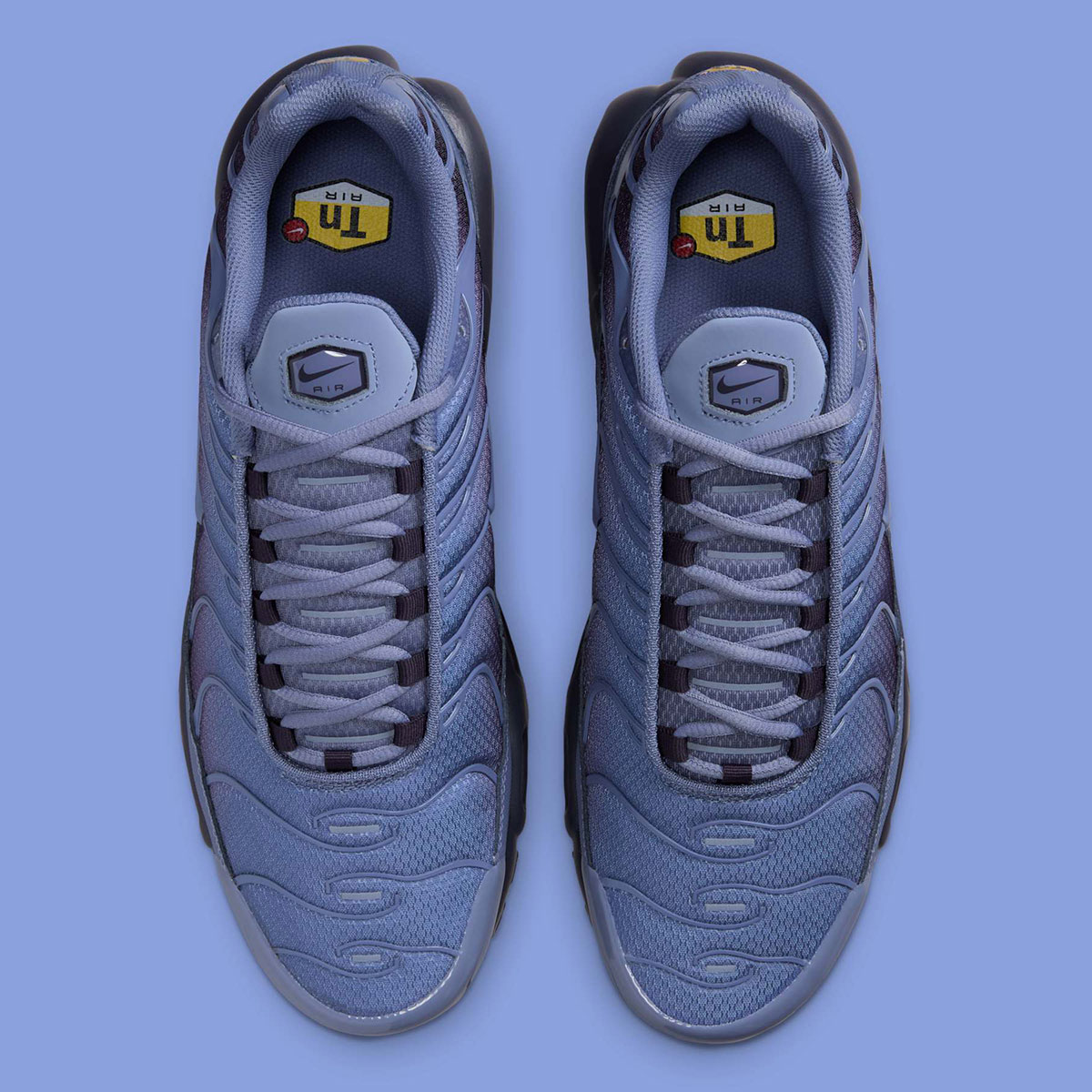 Nike Air Max Plus World Indigo Cave Purple Black Dm0032 404 3