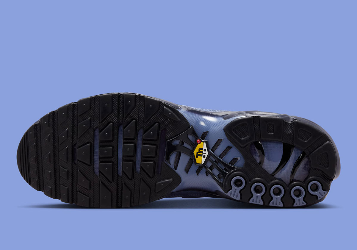 Nike Air Max Plus World Indigo Cave Purple Black Dm0032 404 4